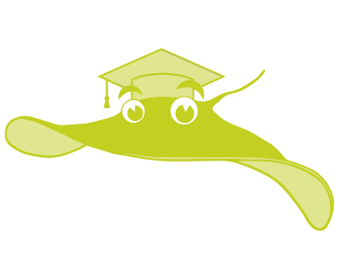 Stingray with graduation cap, Sand Hill School
